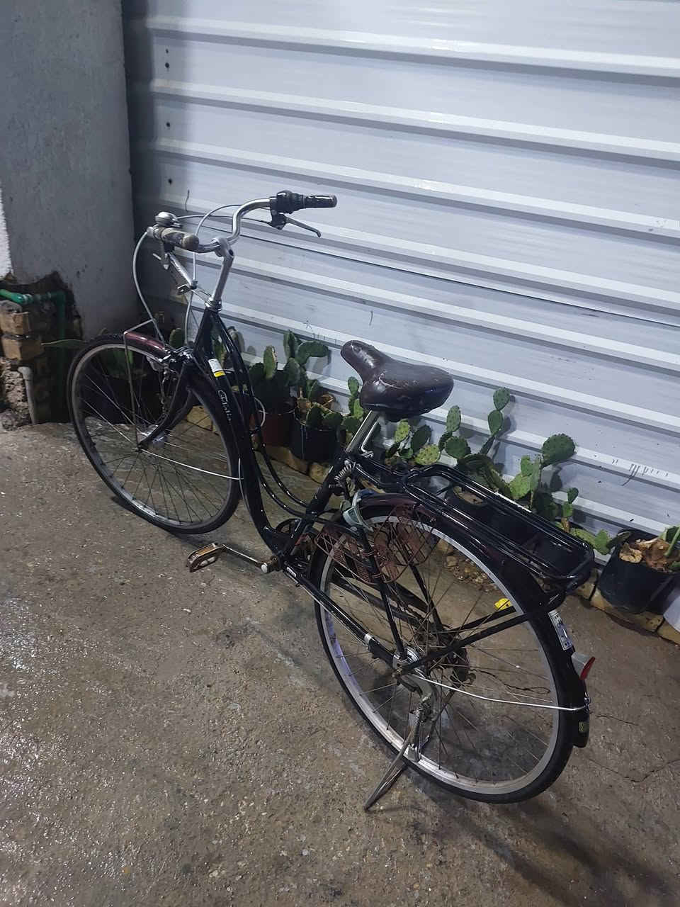 باسكل للبيع مكاني يم سيطرة الشعب القديمه بلسريدات الاتصال على الرقم ***********
