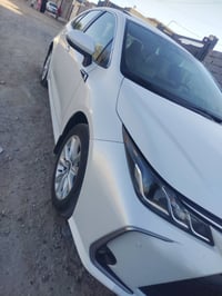 كورله • ٢٠٢٣ • رقم اربيل