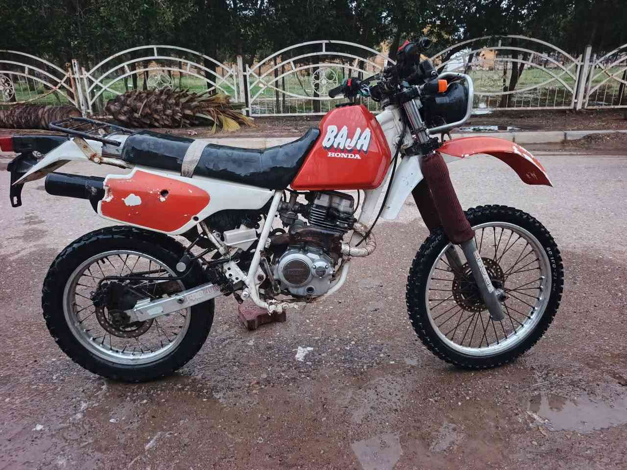 قفاز ياباني محور  ***********
