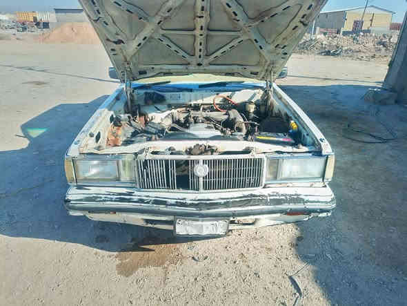 السلام عليكم سياره للبيع مكان واسط رقم ديالى شرط تحويل سنويه19موديل82محرك بي صوت قليل ***********سعر22بيه مجال
