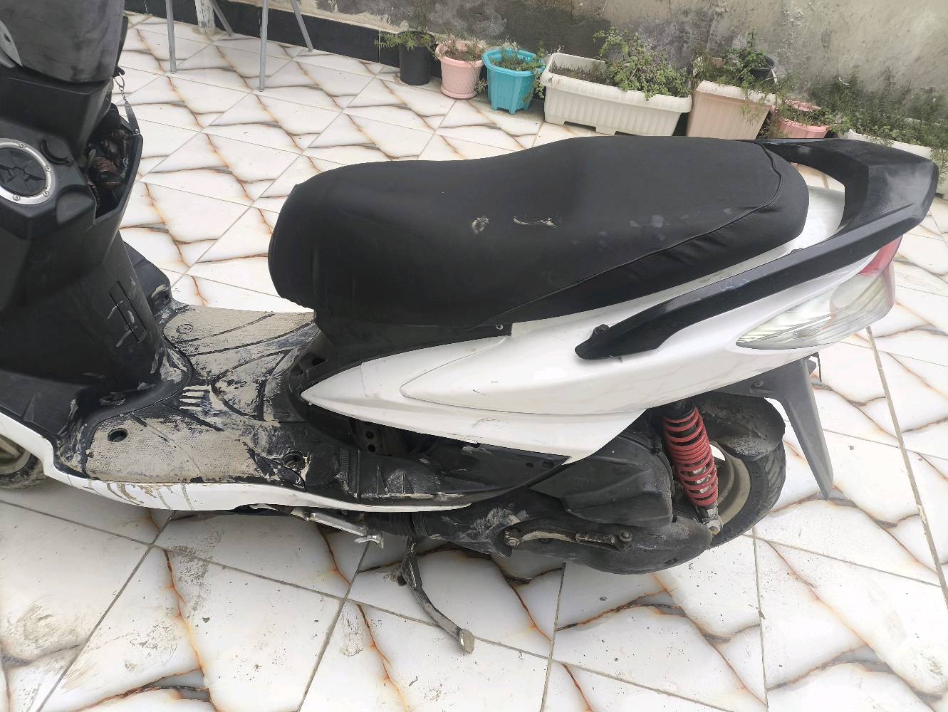 سلام عليكم سكنس فحل للبيع دارجة نضيفة محرك كلجات كلة تمام كهربائيات كلة شغال لايت هورن دارجة جاهزة بدون اي نقص سعر675 وبي مجال للطيبين  مكاني محاويل 
***********
❤️❤️