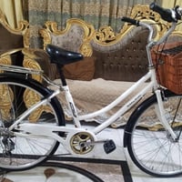 07705066889
