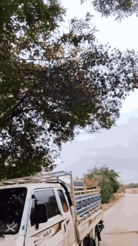 سلام عليكم كيه بينگو للبيع مديل 95مكان نجف للستفسار ***********
