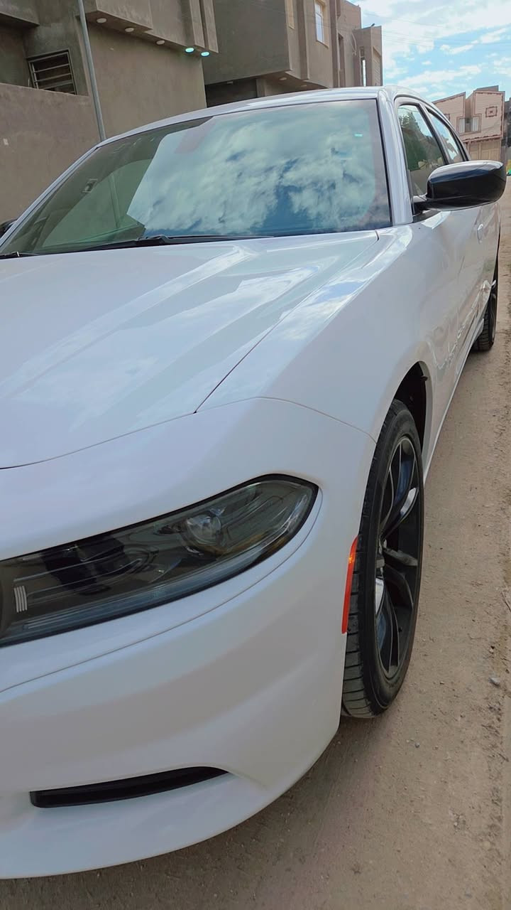 السلام عليكم 🤍
جارجر SXT موديل 2023

محرك 3600

ماشيه 48 الف ميل

رقم اربيل  

السياره كلين جايه من امريكا شغاله 

شرط مكفوله قطره صبغ ماكو 

تقريره مياه امطار 

سوناره وياهه كلشي واضح 

وهذا رقم الشاصي 

 2C3CDXBG5PH529524

السعر ب270 وبيه مجال 

 

***********
