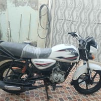 بوكسر • موديل ٢٠٢٠ • أوراق أصلية