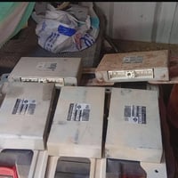 نيسان بيكاب • عقول • جملة
