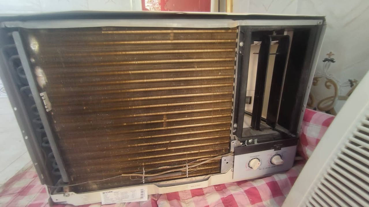 للبيع طنين بطل شرط الشغل تبريد ثلج ..السعر 300 وبي مجال عنواني ناصريه ..الشعله  ..***********
