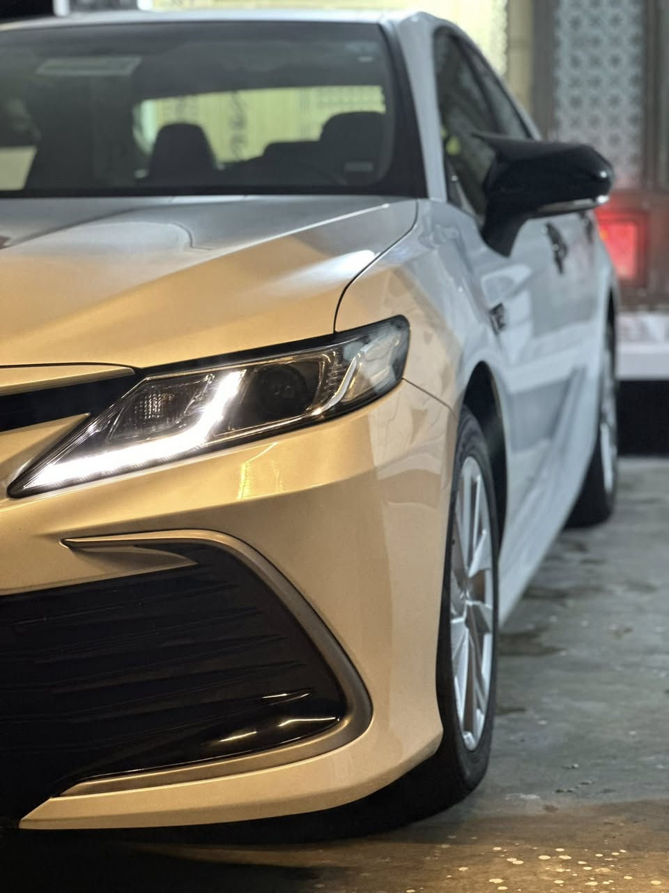 كامري 24
Le
ماشيه 62الف حقيقي 
بيها كرده بسيطه بلباب الخلفي ولباقي مكفول 
خليجي شركه سااز 
سياره بأسمي تحويل ثاني يوم 
السعر .240 ويبها مجال حك جيه 
سونار جديد 
وضررها بعده موجود مامصلح تشوفه بعينك وتقتنع 
الانبار -هيت-ناحية الفرات 

الأستفسار ..***********
