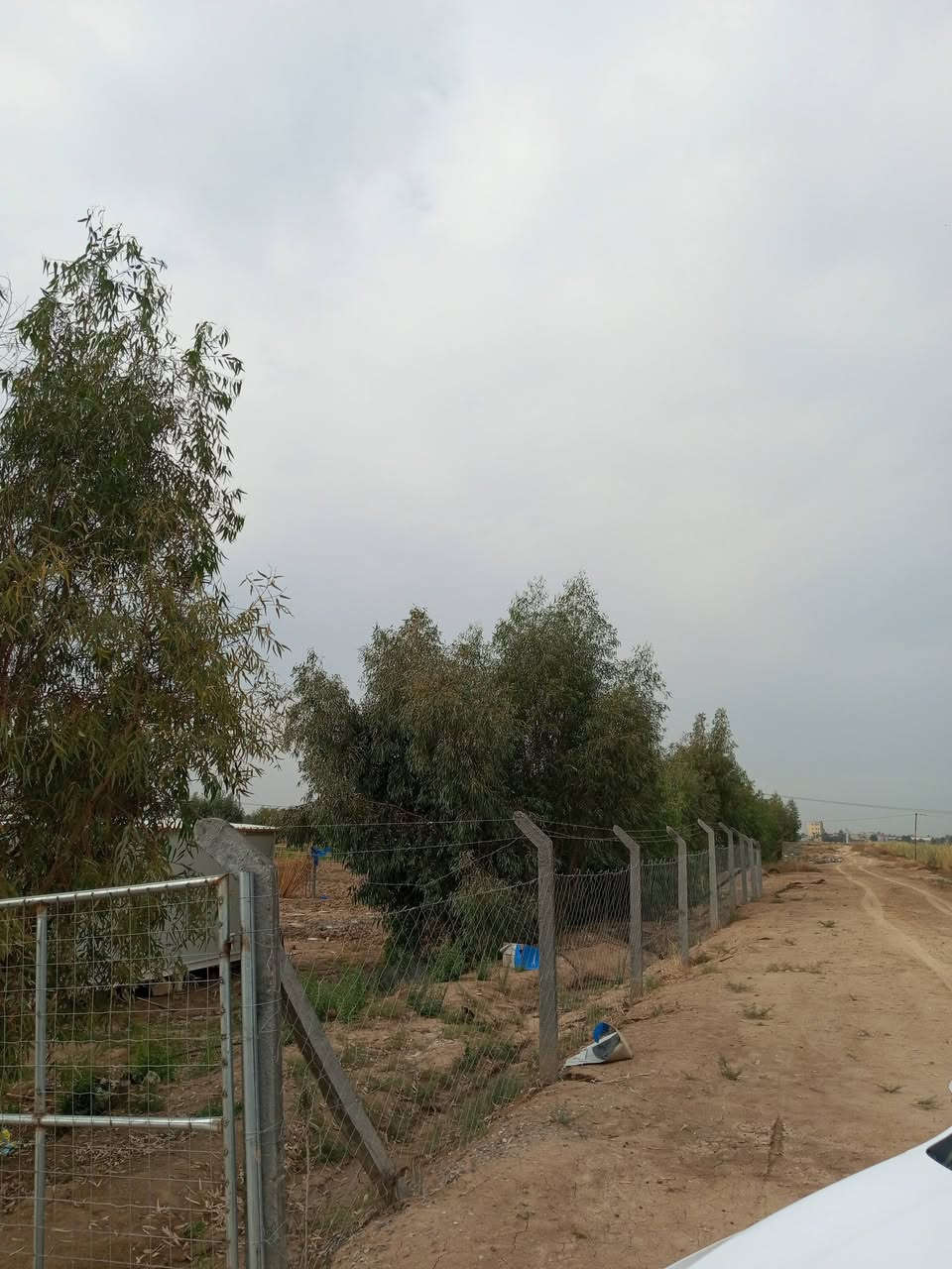 ارض زراعية ١٣دونم تحويل عقد بسمك مباشر ديالى خان بني سعد قرب حي علي الهادي سعر مناسب***********
