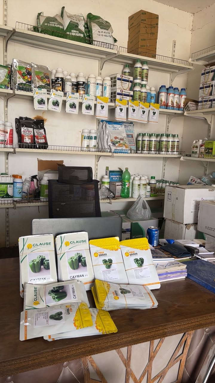 بسم الله الرحمن الرحيم 
على بركة الله 
اعلان الى جميع لاخوا المزارعين يتوفر مجموعة من أصناف الفلفل 

*صنف كايمن
*صنف كامري
*صنف توب كرين
للاستفسار لاتصال ع لارقام التالية 
عمر الجبوري ***********
م/بكر عمر ***********
