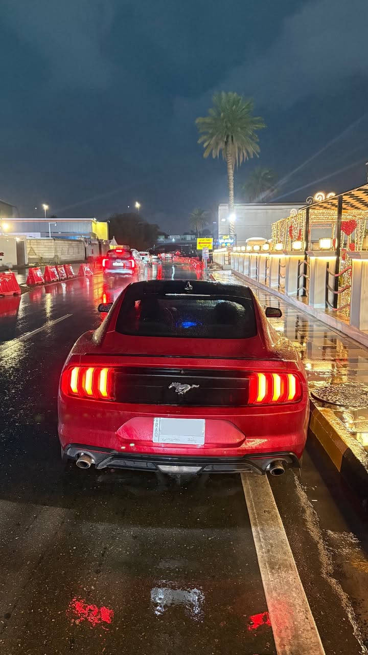 موستنك ايكو بوست تيربو 10 نمر 2021
مرقم بغداد كامل السيارة باسمي
ماشية 22 الف
لون الكرزي يجي بس بال 2021
بلاك اديشن تجي قمارة ومري سود
بجم ماك وان 
بنيد وجاملغات اماميه ثنينهن مبدلات
وضعيات قيادة 5
وضعيات ستيرن 3
شاشة جبيرة كار بلي
تحديد مسار
نقطة عمياء
شفتات ستيرن
كشنات كهرباء
رادارات جانبية امامية
رادارات جانبية خلفية
تشغيل عن بعد
تنزل الجامات عن بعد مانع تصادم
حساسات خلفية
السعر $180
للتواصل : ***********
