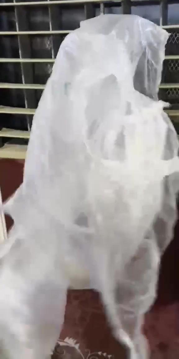 كونفير مامستعمل60 مبرده كونفيرا 85وبيهن مجال لشرايه يتفضل


**إذا كنت صاحب هذا الإعلان وتريد حذفه لأي سبب، رجاءا أرسل رسالة إلى الدعم الفني**