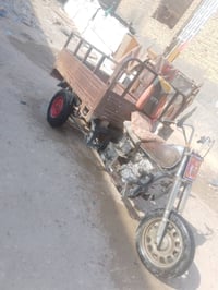 ستوتة • اصولي • ٢٠١٠