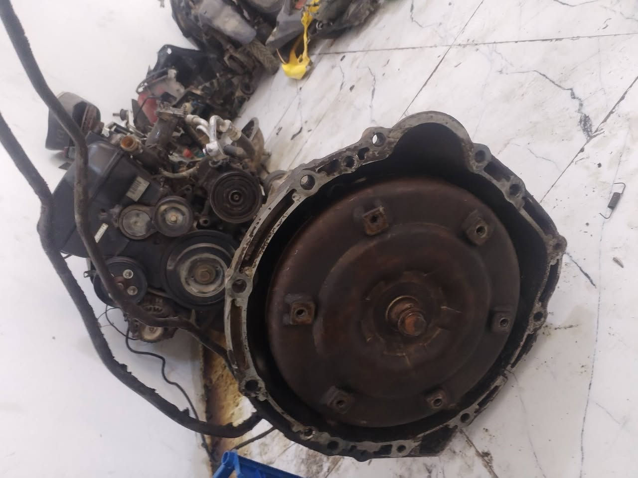 سلام عليكم شباب كير راس ثور 8 خطوط مكفول وعل فحص مكاني ميسان سعره 350 وبيه مجال


**إذا كنت صاحب هذا الإعلان وتريد حذفه لأي سبب، رجاءا أرسل رسالة إلى الدعم الفني**