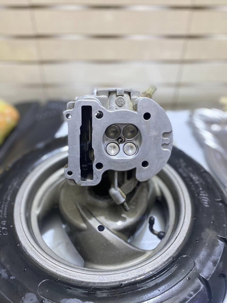 تفصيخ سكنس وثعلب وجيتي شتريد موجود توصيل موجود ***********
