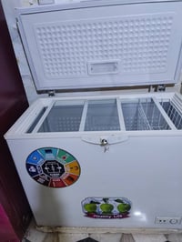 مجمدة • جديدة • بابل وسط