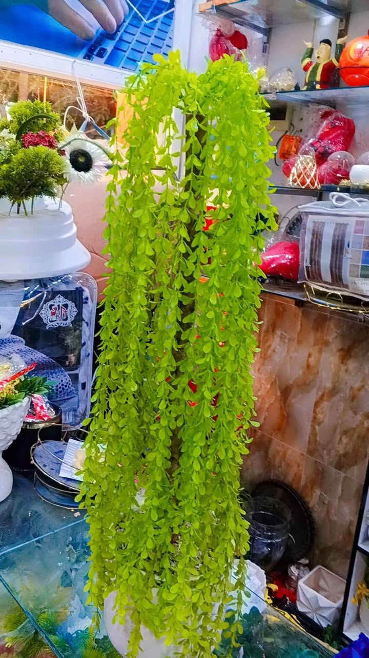 💐💐💐💐💐💐


**إذا كنت صاحب هذا الإعلان وتريد حذفه لأي سبب، رجاءا أرسل رسالة إلى الدعم الفني**