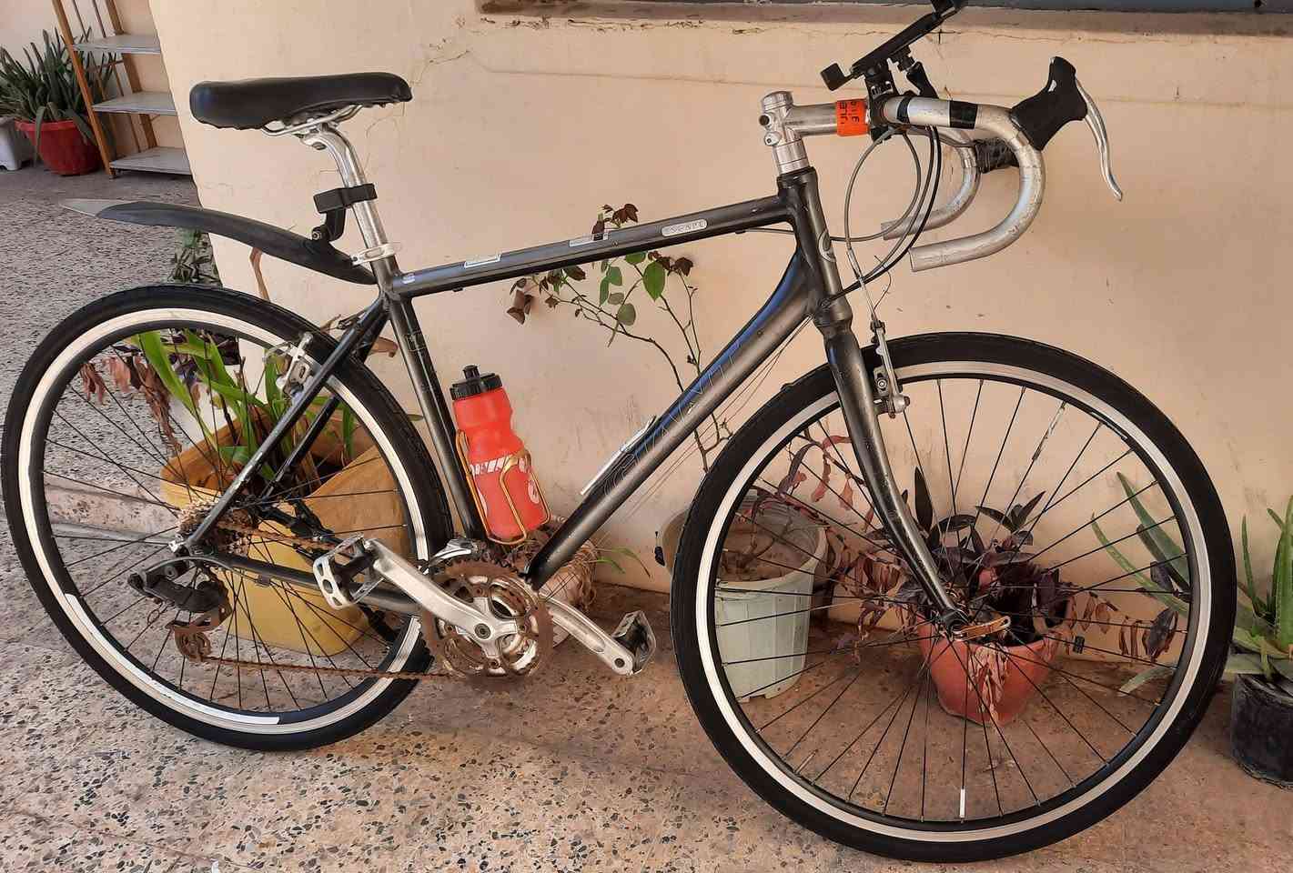 السلام عليكم
🟡بايسكل للبيع ماركة جينت فافون وزن 8 كيلو  مال سباق مسافات طويله ، كير امامي3 وخلفي8 خير من الله والنضافه كدام العين السعر 125 وبي مجال قليل لتواصل هذا رقمي *********** مكاني موصل الايمن غير متواجد على الفيسبوك
