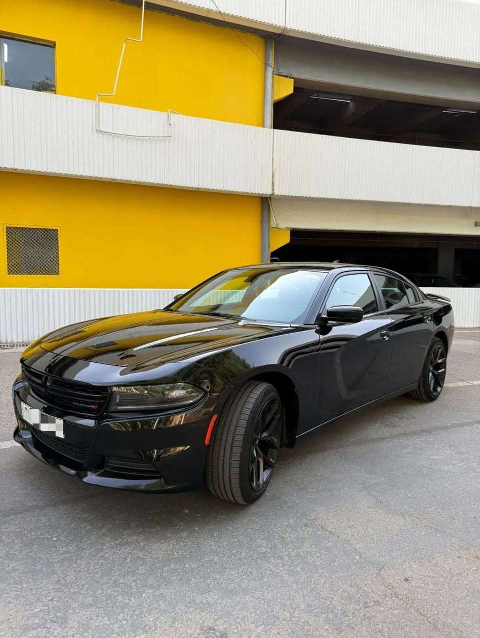 السلام عليكم 
جارجر 2017

مكينه ٣٦٠٠

الون اسود

sxt بلاس  

مكينه كير كفاله 

حداده 100/100

تخم تاير ويل طك كارتون

   

كشنات كهرباء 

شاشه كبيره 

سستم صوت بلادي دمام

تبريد قطعتين ثلج

محدد السرعه

ويل كب 20 خليجي

كامره خلفيه 

حساسات خلفيه

شاشه كار بلي

دخول ذكي بصمه 

رقم اربيل

ملاحظه / سيارة كفاله 

*********** واتساب او تصال فقط
