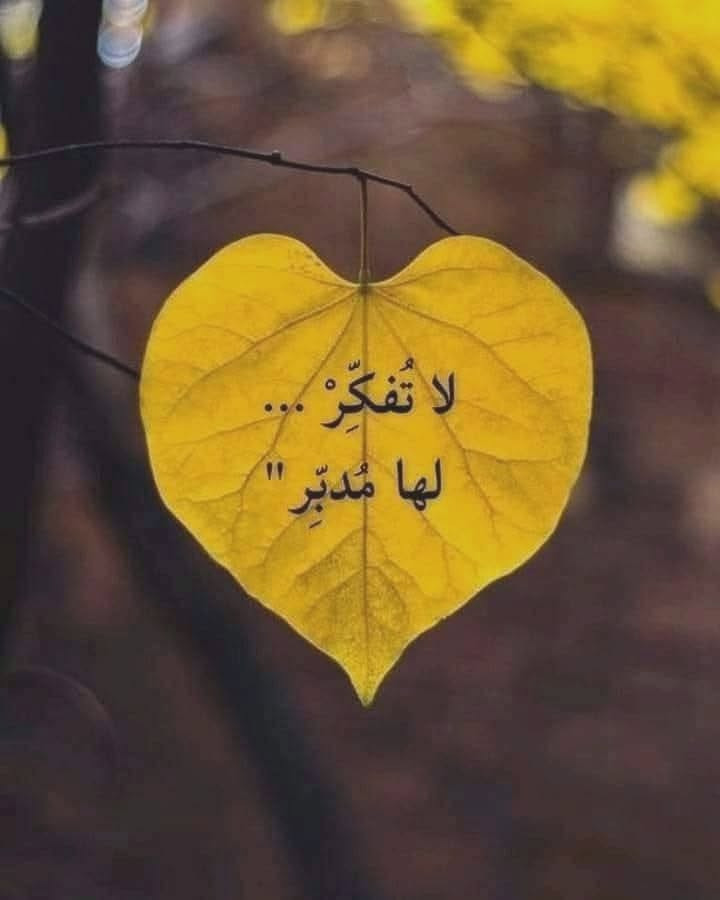 مكان شطره


**إذا كنت صاحب هذا الإعلان وتريد حذفه لأي سبب، رجاءا أرسل رسالة إلى الدعم الفني**