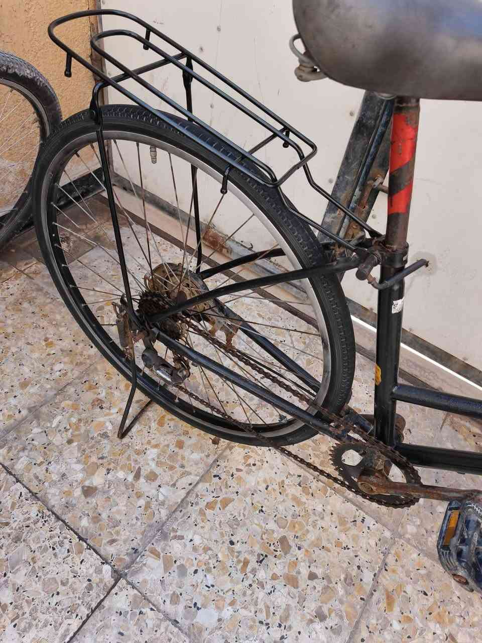 السلام عليكم اخوان للبيع بايسكل سياحي حجم 27باله مصبوغ تايرات جدد سله جديده سرج نضيف ابريك شغال بايسكل كله شغال مابي اي ملعب سعره 45 بي مجال 
مكاني بصره صبخة العرب 
رقم ***********
