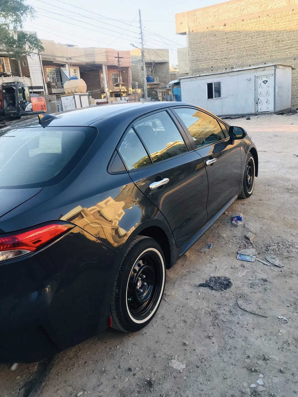 هايبرد وارد امريكي 
***********
