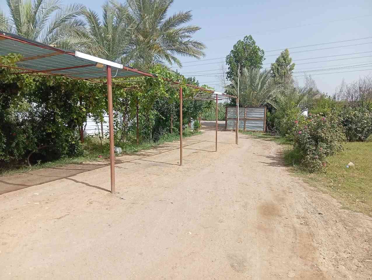 دارحديث مع3دونم واجه40نزال180تحتوي علا40نوع وحمضيات و100نخله،وحقل عجول ومحميه،تبليط من شارع ياحسين ليمه،300م عن تبليط ولباقي سبيس السعر300ابي غرق قرب مجمع كوثر


**إذا كنت صاحب هذا الإعلان وتريد حذفه لأي سبب، رجاءا أرسل رسالة إلى الدعم الفني**