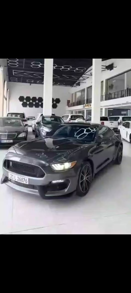 موستانگ موديل 17
Eco bost

بي 2قطع و نوص

66 mile ماشي

سعر 112

***********
سنوي 2029 جديد
