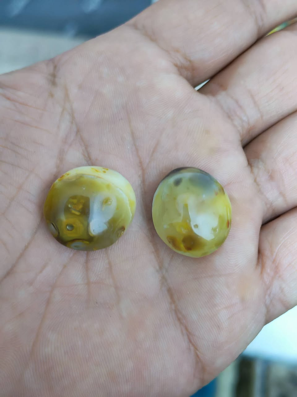 يوجد توصيل 
احجار ذمة 
يوصلك ماعجبك شكيت بي لاتستلمه


**إذا كنت صاحب هذا الإعلان وتريد حذفه لأي سبب، رجاءا أرسل رسالة إلى الدعم الفني**