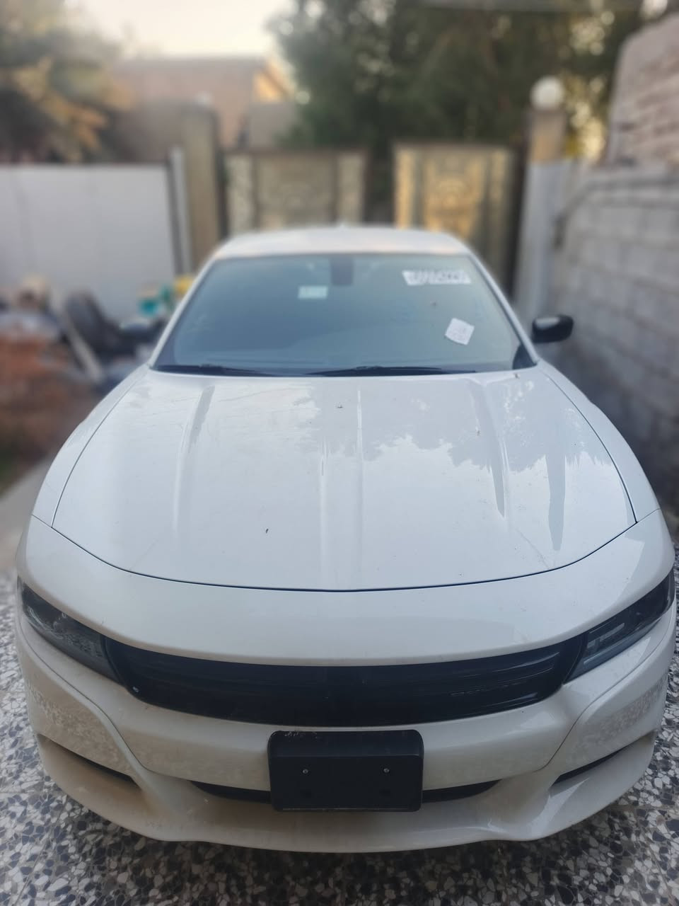 سلام عليكم
......ترهم مراوس.... 
دوج جارجر موديل 2023 بدون رقم
سياره كلين تايتل بدون اي حادث بدون اي شخط
بعدها شركه مكينه v6 مواصفات sxt 
العنوان...... بغداد
***********
***********
