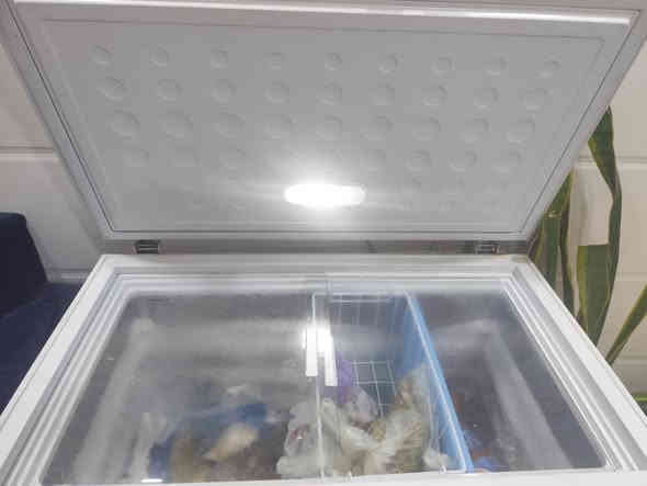 السلام عليكم 
ادمن ارجوا الموافقة 

فول 10 قدم مجمدة اخت الجديدة بسعر 160 بيهه مجال 
براد  الريان مع هيتر 3 خطوط مستخدم  شغال فول  بسعر 75 
مرشحة لبرونكس شغل قليل فول ب 100
صوبة زيتية ماركة الونسا امتياز ياباني  فول شغل مع مروحة ب 90
مزيد تفاصيل *********** بغداد 

وتس اب
