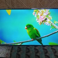 سامسونج • ٦٥بوصة • ستلايت داخلي