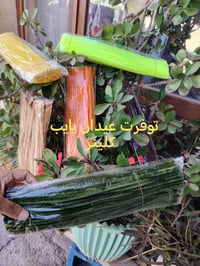 أدوات رسم عالزجاج • كركوك