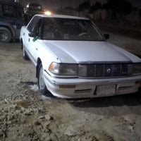 هارتوب طويل • ١٩٩١ • رقم بصره