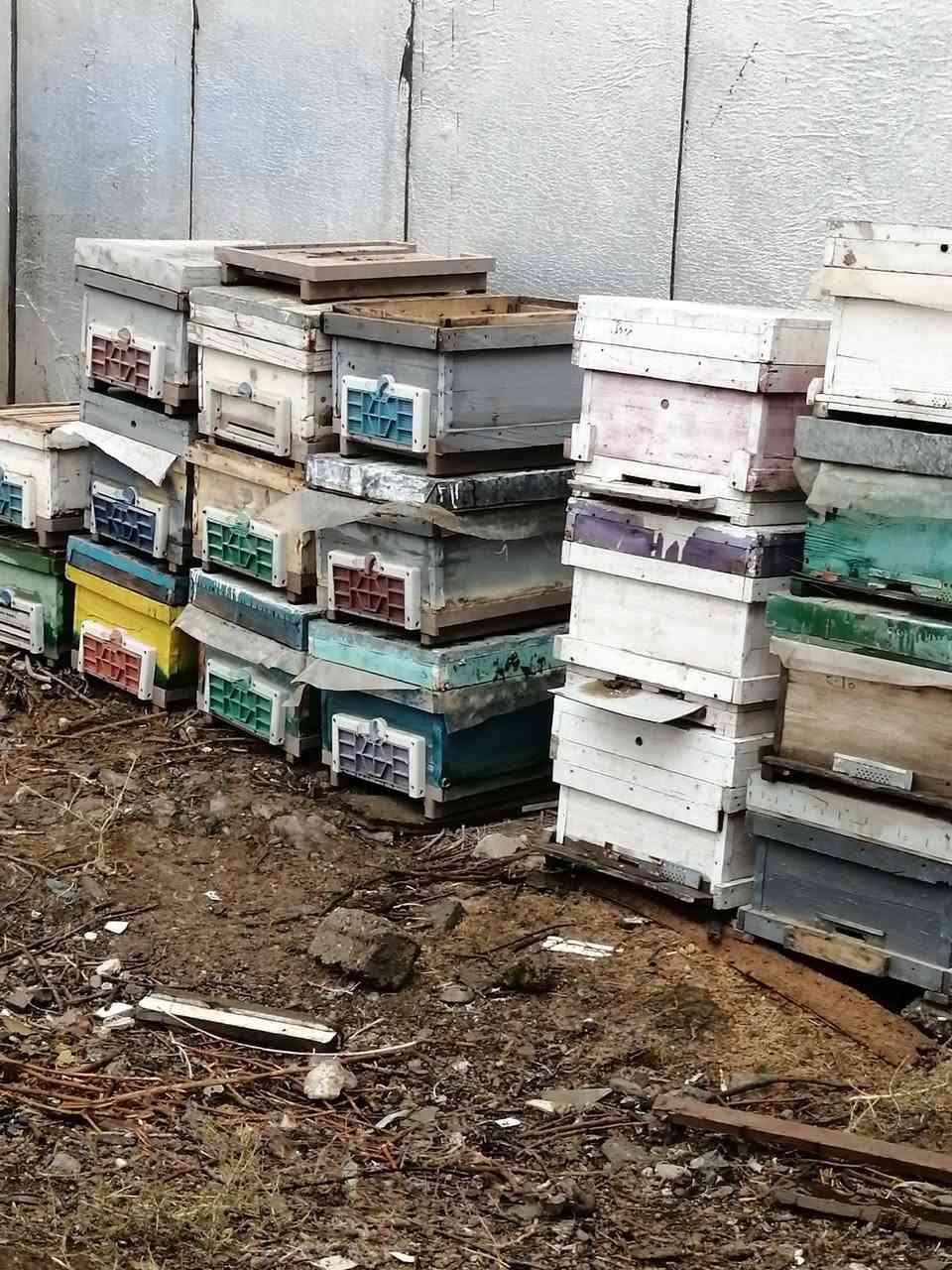 سندوقی ژێرتۆڕ ژێر داخراو هەمانە بۆفرۆشتن  زۆر پاکن
لەپیرەمەگروون


**إذا كنت صاحب هذا الإعلان وتريد حذفه لأي سبب، رجاءا أرسل رسالة إلى الدعم الفني**