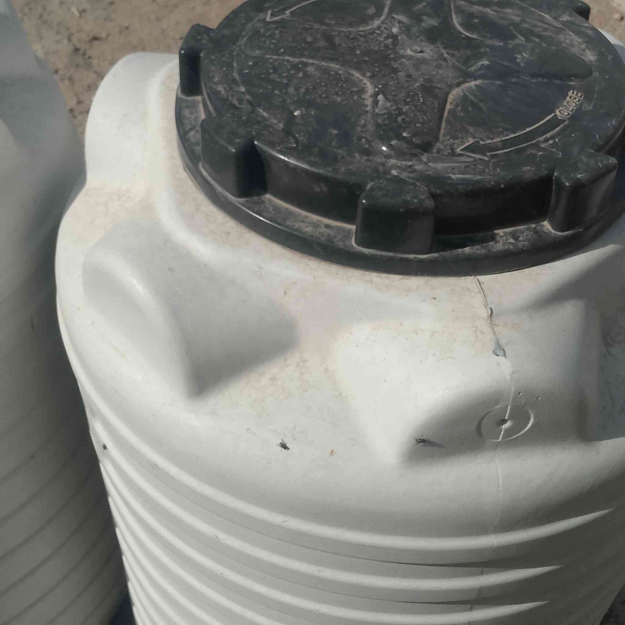 قراظ جوه سعر جمله ابيع شلعه وحده  ***********
