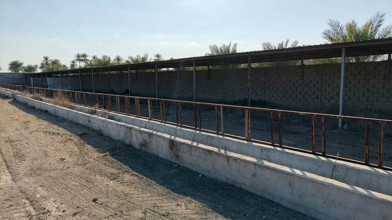 ♥️الارض موقعها ابو غريب قرب محطه جوهره العدنان
♥️الماء والكهرباء متوفره ٢٤ساعه
♥️تبعد عن الخط السريع حوالي خمس دقائق وعن الغزاليه عشر دقائق
♥️ مساحه الارض دونمين ونص واقع حال في السند دونمين 
♥️تحتوي ع حقل ابقار يتسع لاكثر من ٣٠٠بقره وايضا يوجد فيها حقل لزراعه الافطر
♥️وتحتوي ع غرف للعمال عدد الغرف ٣ بس الغرف مو بناء مفول يعني ع كد ادارة المزرعه 
♥️اما صنف الارض طابو زراعي سند ١٧ هيه جانت ١٨دونم ولكن نباعت بعض الارض منها وهاي الي بقت
♥️بخصوص السعر 325 مليون وبيها مجال 
♥️للاستفسار اكثر وصور وفيديوات يرجى التواصل مع الارقام التاليه : 
للاتصال *********** اتصال/واتساب
*********** واتساب بغداد, العراق
