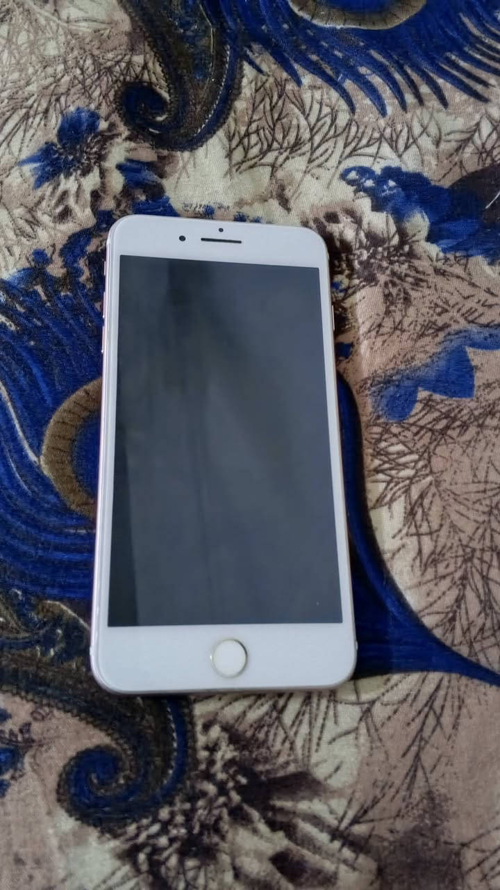 ايفون 7 بلص 
ذاكرة 128 
بطارية 100 مبدلة اصلية شرط قطارة بالشحن
التلفون مكفول تصفح اتصال كاميرا شحن بصمة  اي شي بيه يرجع تاخذ فلوسك 
السعر 110 وبيه مجال للطيبين
*********** واتس اب
