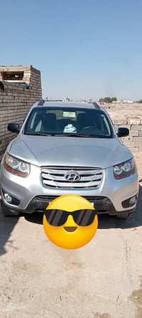 سنتافي • ٢٠١٠ • وارد امريكي