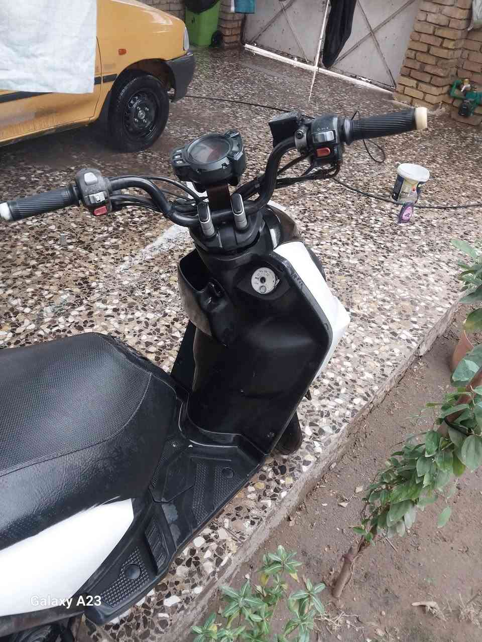 سلام عليكم سكنس جبلي البيع صار شهر من نازله رمباه  درجه حلوه  سعر 100 و200 مكاني بغداد مدينه صدر حي طارق ***********
