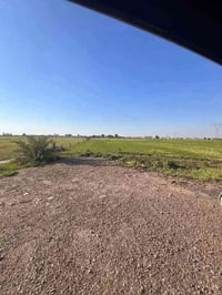 دونم جميل موقع جيد التاجي ذراع دجلة طابو سند 25 خدمات كاملة ماء اسالة ...