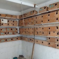 الغندور • كركوك • ديكور