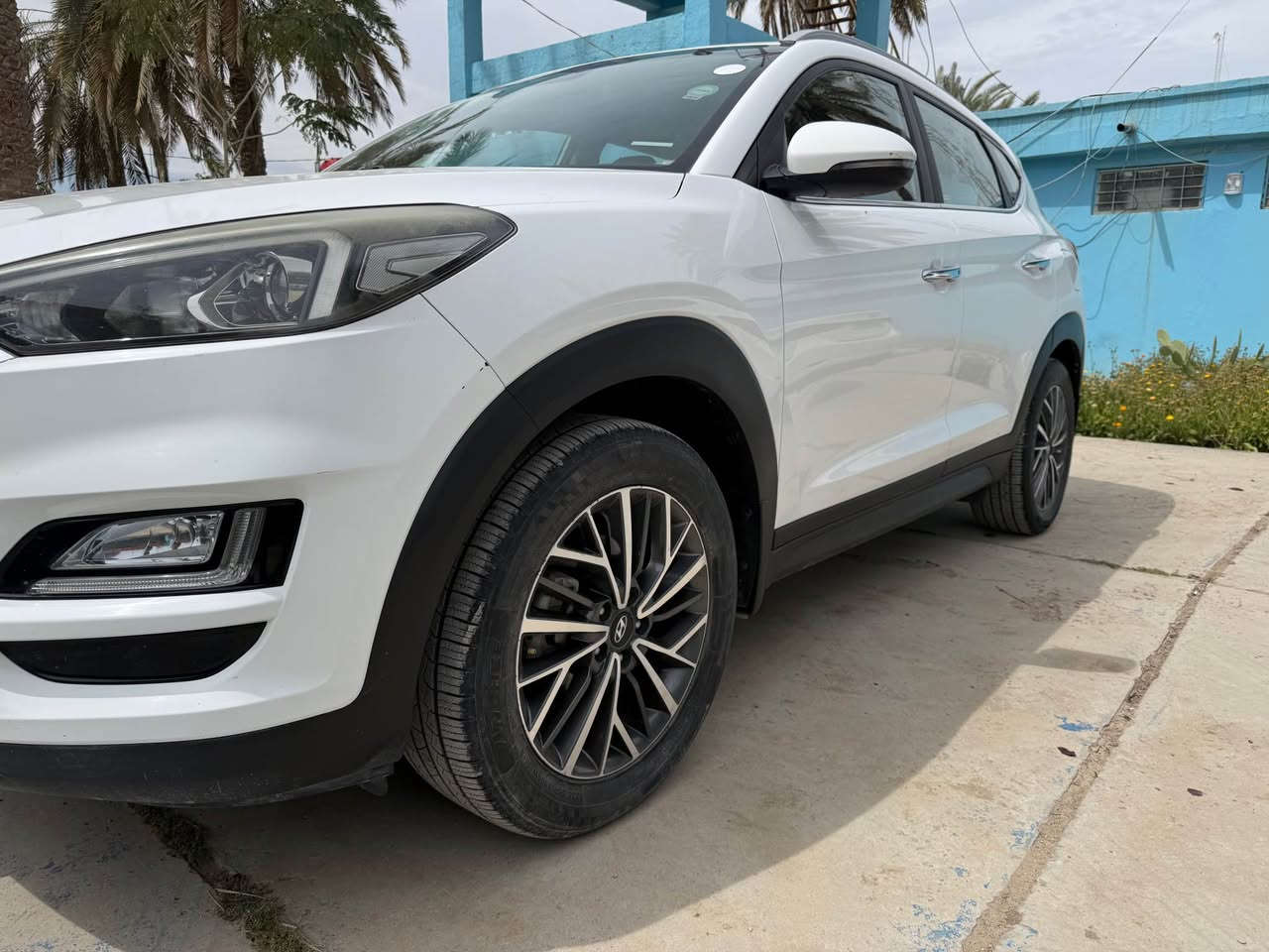 توسان موديل 2020
وارد خليجي كوري سايد ابريكً بالرجل
فول بصمه
رقم اربيل ب اسم شركه سنويه ما صاقطه
مكينه ٢٠٠٠
حساس امامي وخلفي 
لد امامي 
لد خلفي
مري شفاط مع نظام ترحيب عند الاقتراب 
كشن كهرباء 
كشنات جلد
شاشه كبيره
ويل كب 18
شاشه كشف اعطال باللغه العربيه
ماشيه 78
كير ومكينه وحداديه وتبريد كله مكفول 
بيه بارد بسيط ب الباب الصدر فقط 
السعر 200 وبيه مجال
سونار موجود
مكاني الديوانيه قضاء الشاميه
تفاصيل اكثر
‭***********‬
*********** النجف, العراق
