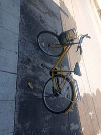 باسكل اصلي • حله بكرلي