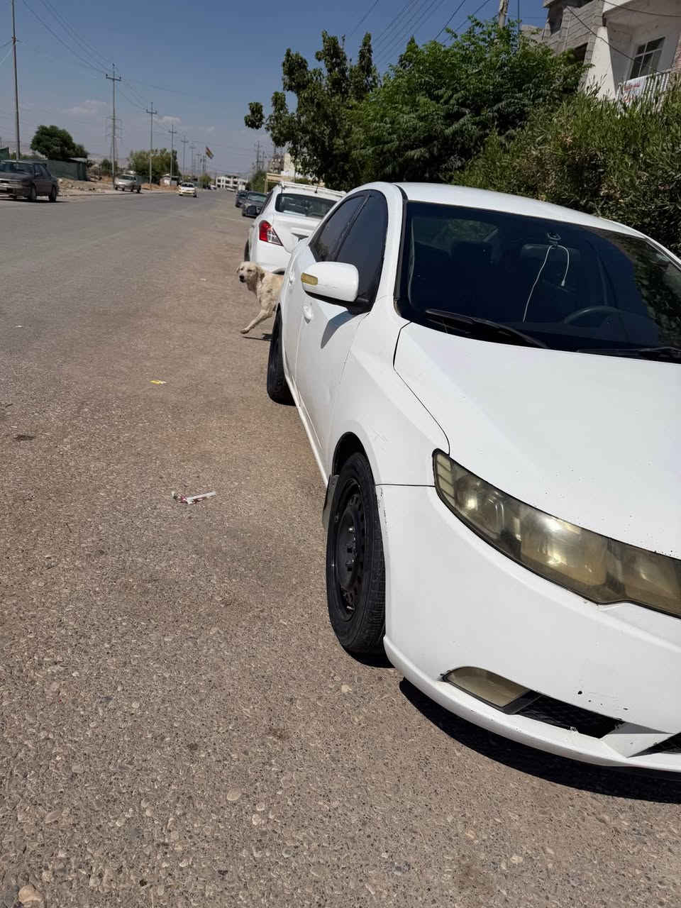 كياسيراتؤ مؤديل ٢٠١١سبوخ عام ماكيناو كئر به شرت جوارجام كارابه كارابايات هاموي به شارت وه هارامي ٤٠هازار له ساره سانوي تازه يه بئ كئشه به ناو خؤما واته يك سرده بي به ناو كه ي نرخي ٧٠وه ماجالي برايه نه له گال رئزم أربيل, العراق


**إذا كنت صاحب هذا الإعلان وتريد حذفه لأي سبب، رجاءا أرسل رسالة إلى الدعم الفني**