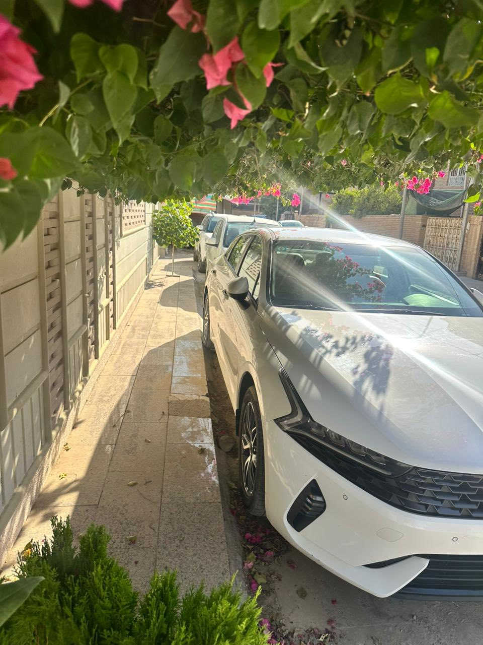 K5 2021
مواصفات الشركة الدولية

مكفولة عدا بارد اقل الشبر بالجاملغ الخلفي

رقم بغداد باسمي 

مكانها بابل

سعرها ١٨٨ وبيها مجال

ماشية ٧٢ الف جديده جدا

موجود اتصال+ واتساب

0773 914 7798
