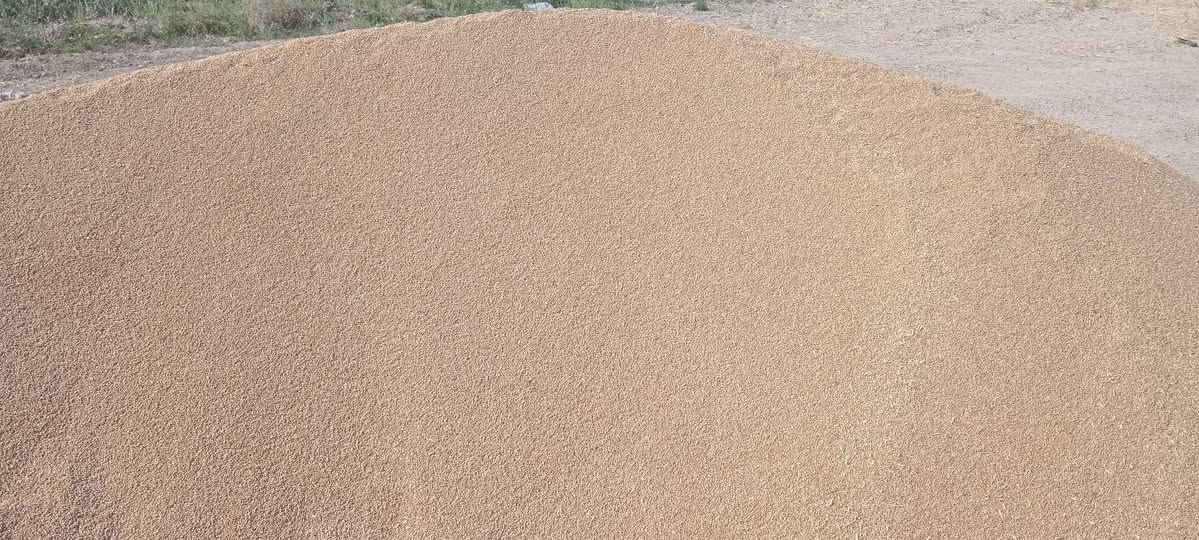 الحويجه 
السلام عليكم حنطه نزار للبيع بنت جيس خاليه من شعير
سعر ٦٠٠
ملاحضه المو شراي لا ايتصل
العنوان الحويجه 
الاستفسار عل رقم ***********
