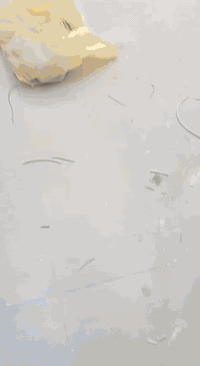 ديكورات داخلية • سقف مغربي • صبغ داخلي