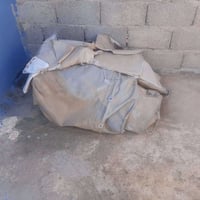 جادركيامع محجل للبيع ٨ جنكال ٠٧٧٠٣٠١٤٧٥٤(٠٧٥١١٩٢٥١٤٨)