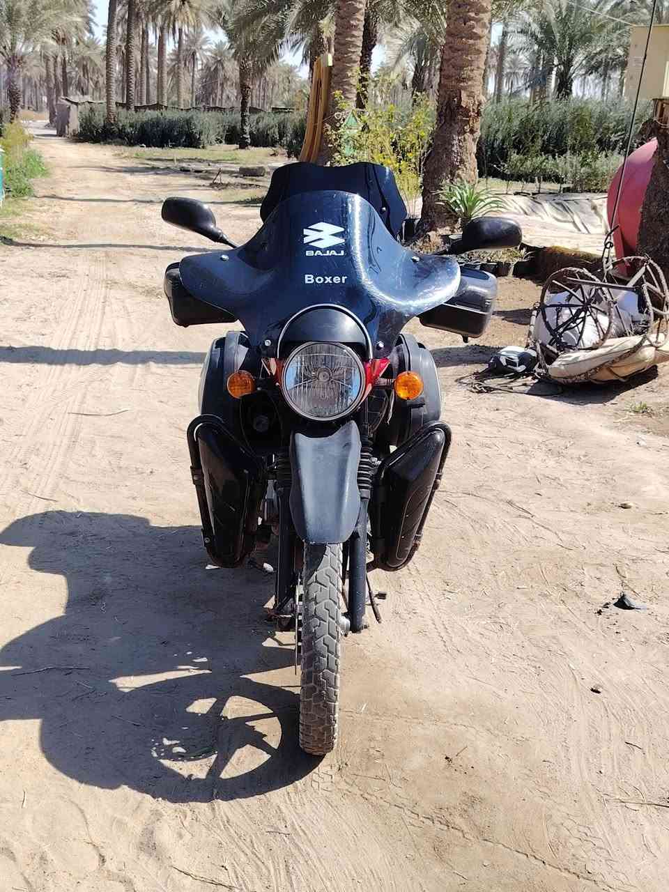 سلام عليكم بوكسر جبلي 2023للبيع
***********
